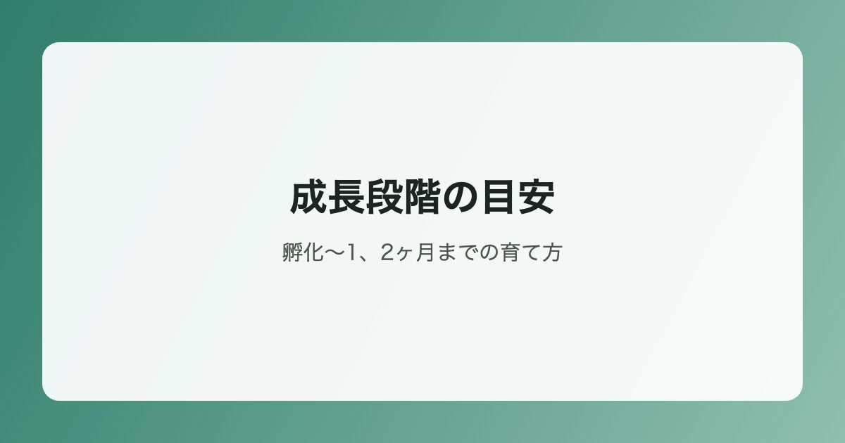 成長段階の目安イラスト