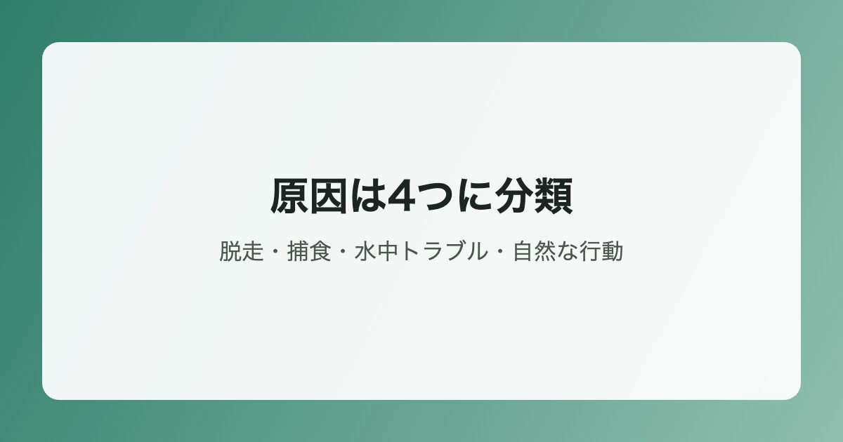メダカが消える原因の4分類イラスト