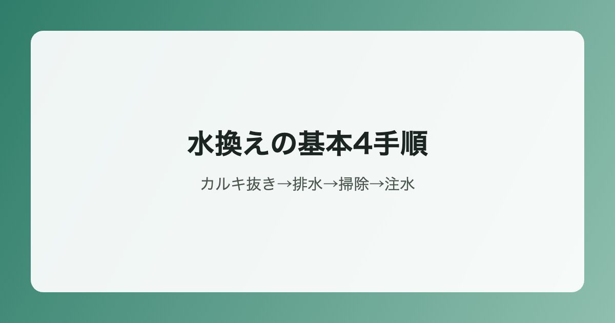 水換えの基本4手順イラスト