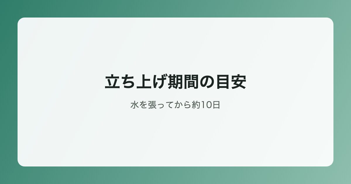 立ち上げ期間の目安イラスト