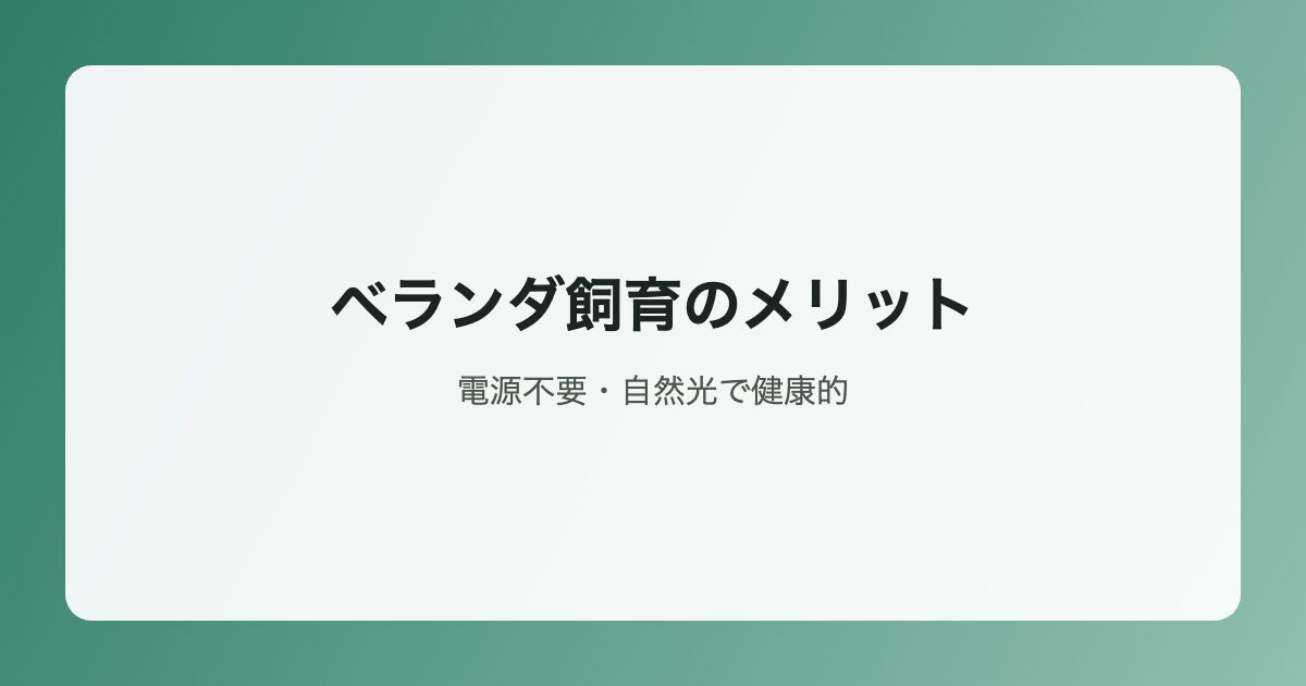 ベランダ飼育のメリットイラスト